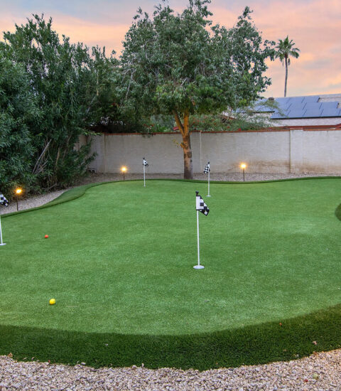 Championship putting green with bumps an undulations. Get hours of practice or family fun.