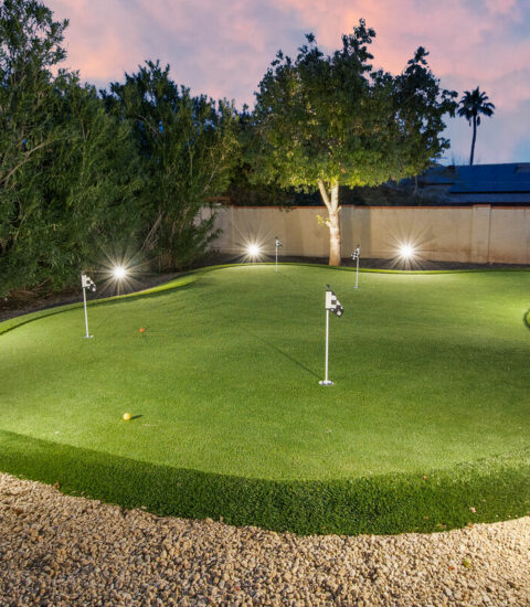 Championship putting green with bumps an undulations. Get hours of practice or family fun.